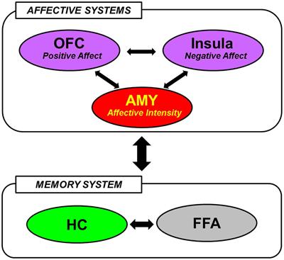 Emerging Directions in Emotional Episodic Memory